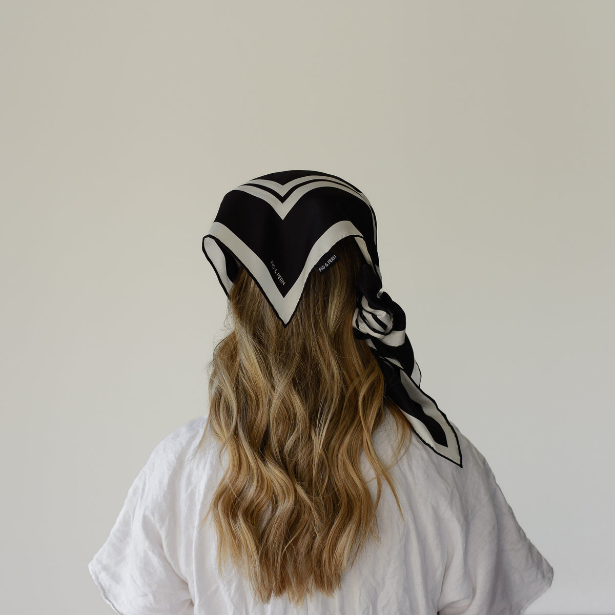 Double Backed Shape