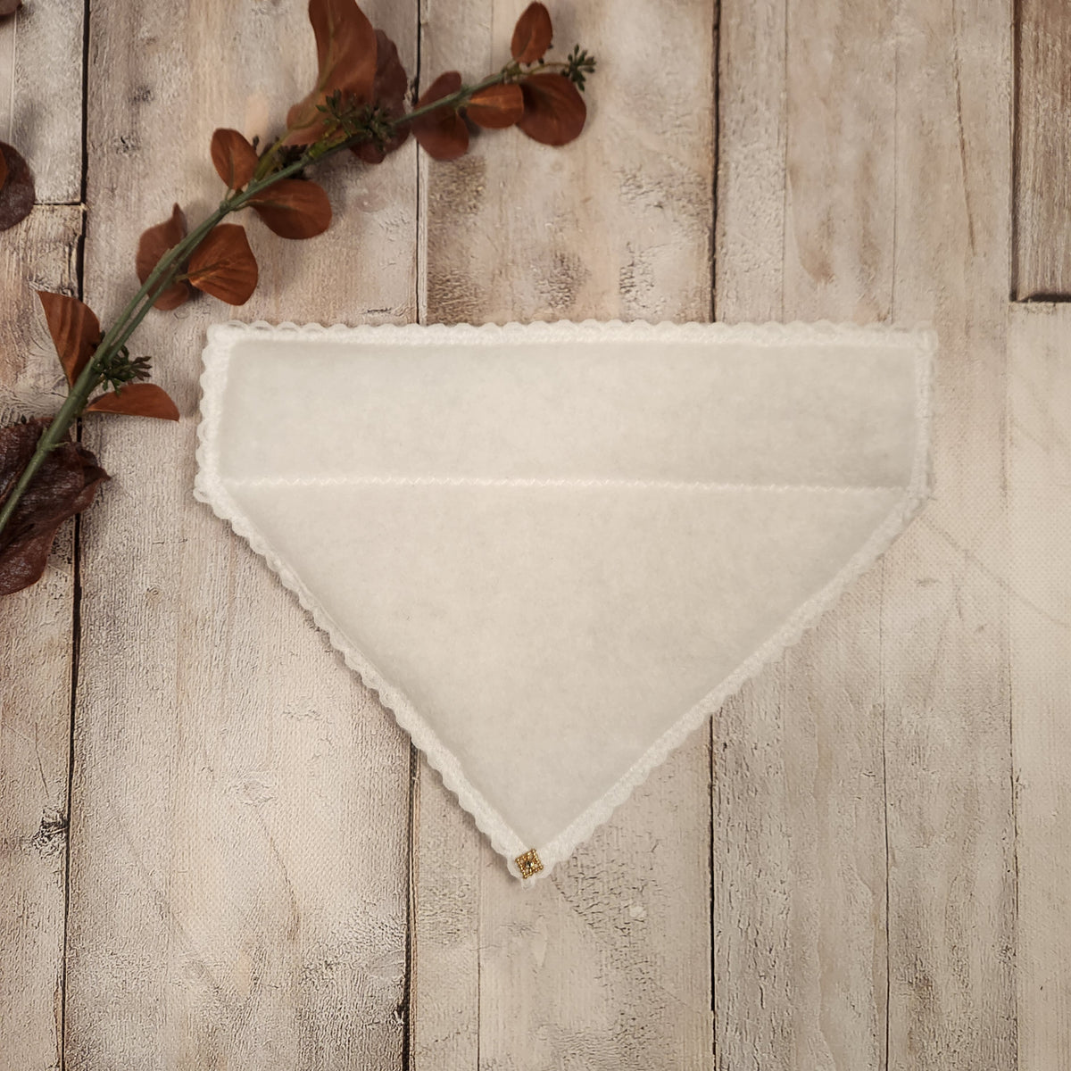 Foam Triangle Shape