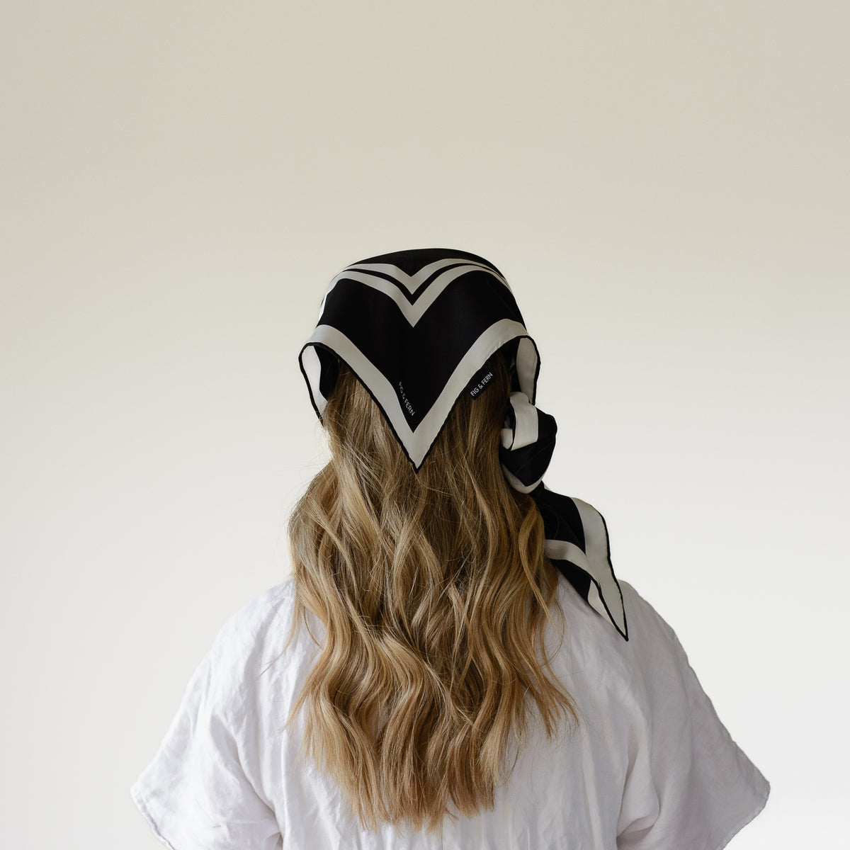 Light Back Shape